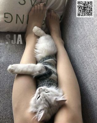延安锄歼_免费韩剧在线观看