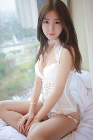 《精英律师》电视剧_BD免费播放