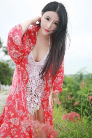 上海女子图鉴 电视剧_蓝光HD在线观看