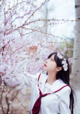 画江湖之不良人第一季免费观看_青苹果乐园免费高清观看